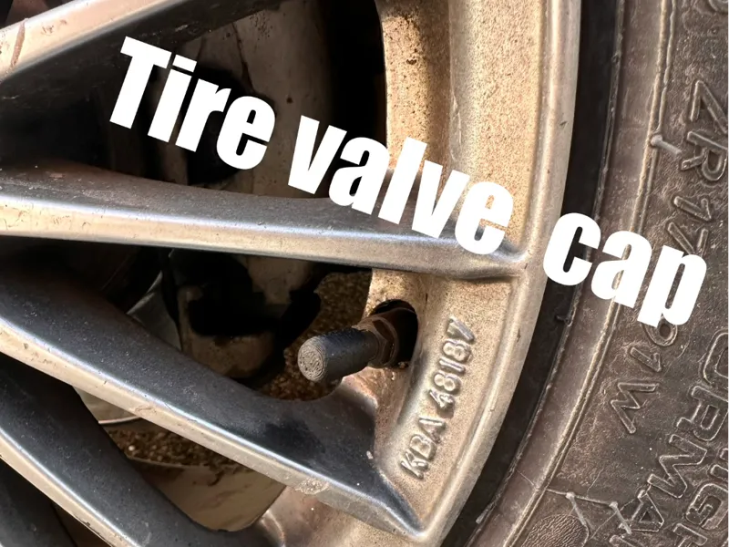 Tire valve cap standart fit all
