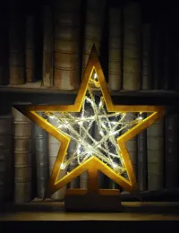 Étoile de Noël avec guirlande lumineuse — photo 4