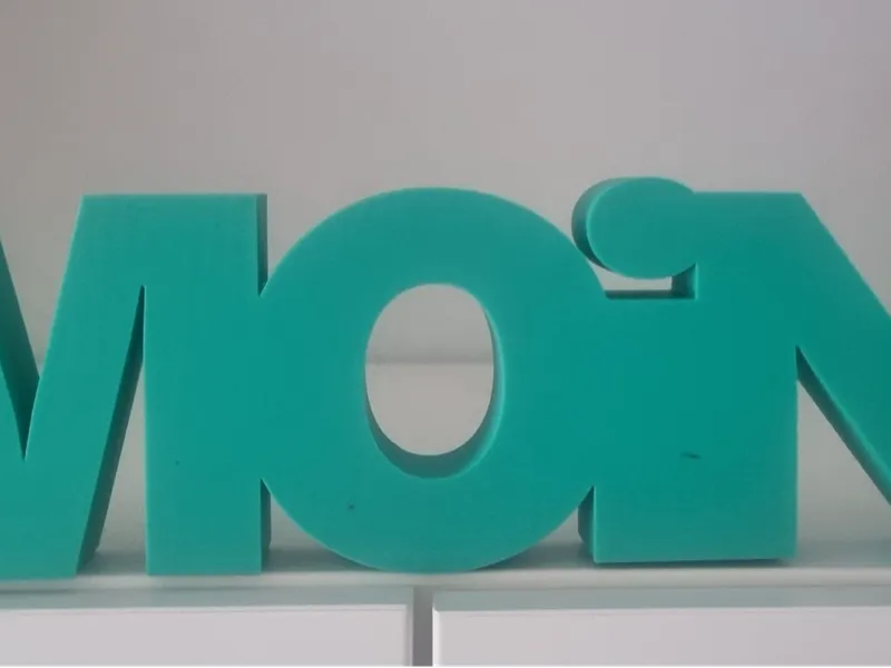 Schriftzug MOiN.