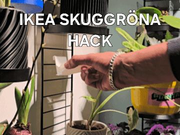 Modular Plant Wall System | IKEA SKUGGRÖNA Hack