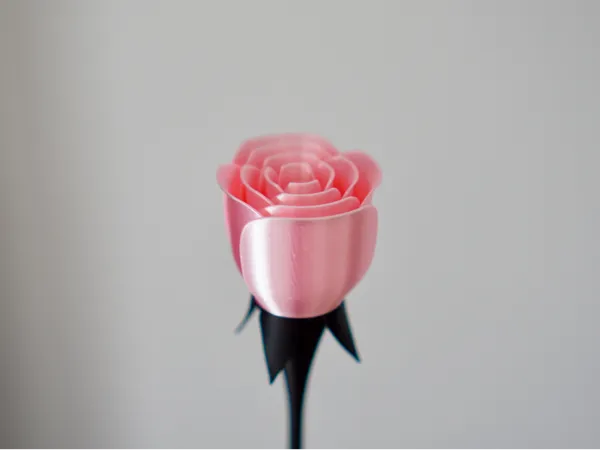 https://makerworld.bblmw.com/makerworld/model/US9b76202ccae2b5/design/2025-01-18_16e4400661a44.jpg