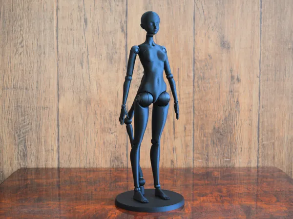 https://makerworld.bblmw.com/makerworld/model/US9b77403c4e8832/design/36e59e2a33f2cc45.jpg
