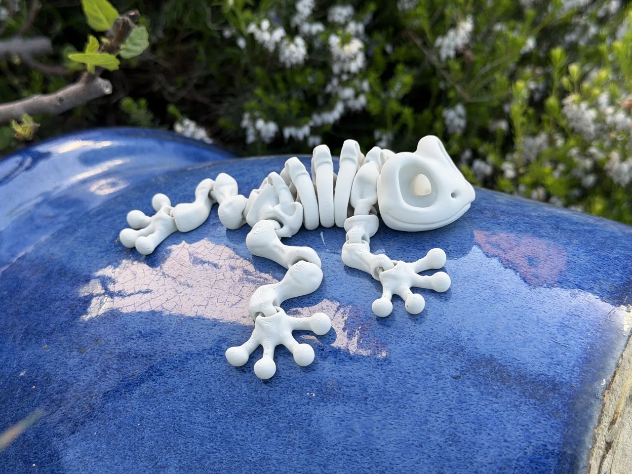 Articulated Skeleton Frog view 2