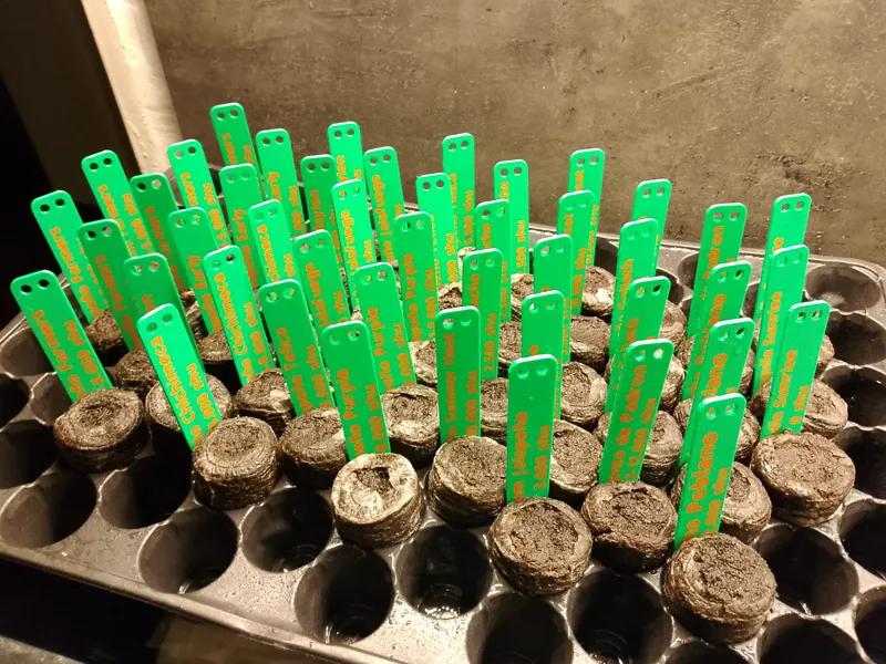 jalapeño labels 