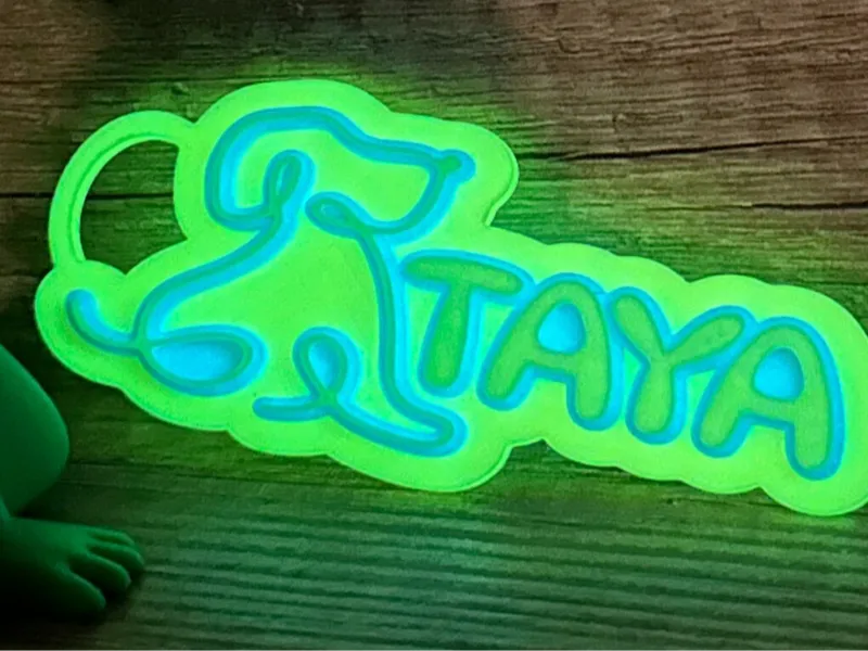 Dog lover Taya pet keyring