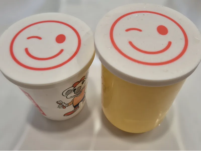 Couvercle protège poussiere verres
