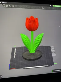 0.17mm layer, 2 walls, 8% infill (Red, Green and Black)