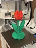 0.17mm layer, 2 walls, 8% infill (Red and Green)