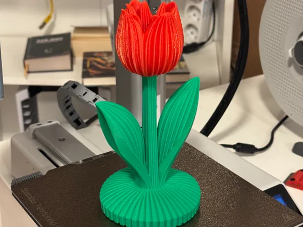 https://makerworld.bblmw.com/makerworld/model/US9b87c5d66a6218/design/5d9603895dc396e6.jpg