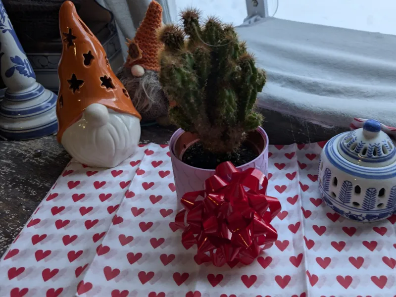 "Love Grows" Heart Planter - 8cm Tall