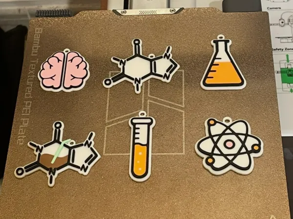https://makerworld.bblmw.com/makerworld/model/US9b8c40058c9986/design/684d229f337c0bb7.jpeg