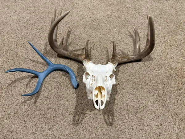 https://makerworld.bblmw.com/makerworld/model/US9b8d18fddad662/design/b364e9864b366f8e.jpg