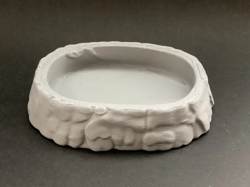 Reptile bowl