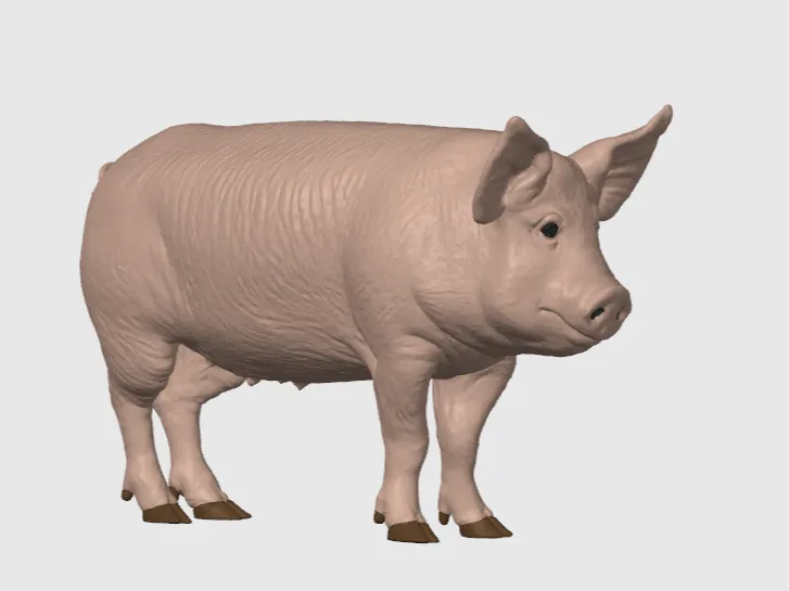 Cerdo Animal de Granja