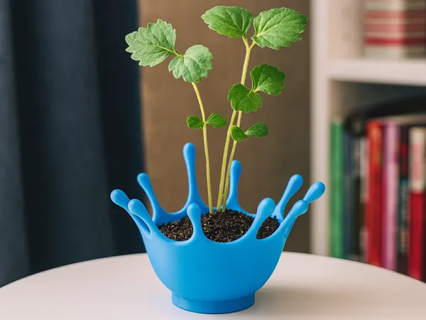 https://makerworld.bblmw.com/makerworld/model/US9b9152d63835ce/design/2025-12-15_fe5438d568e888.png
