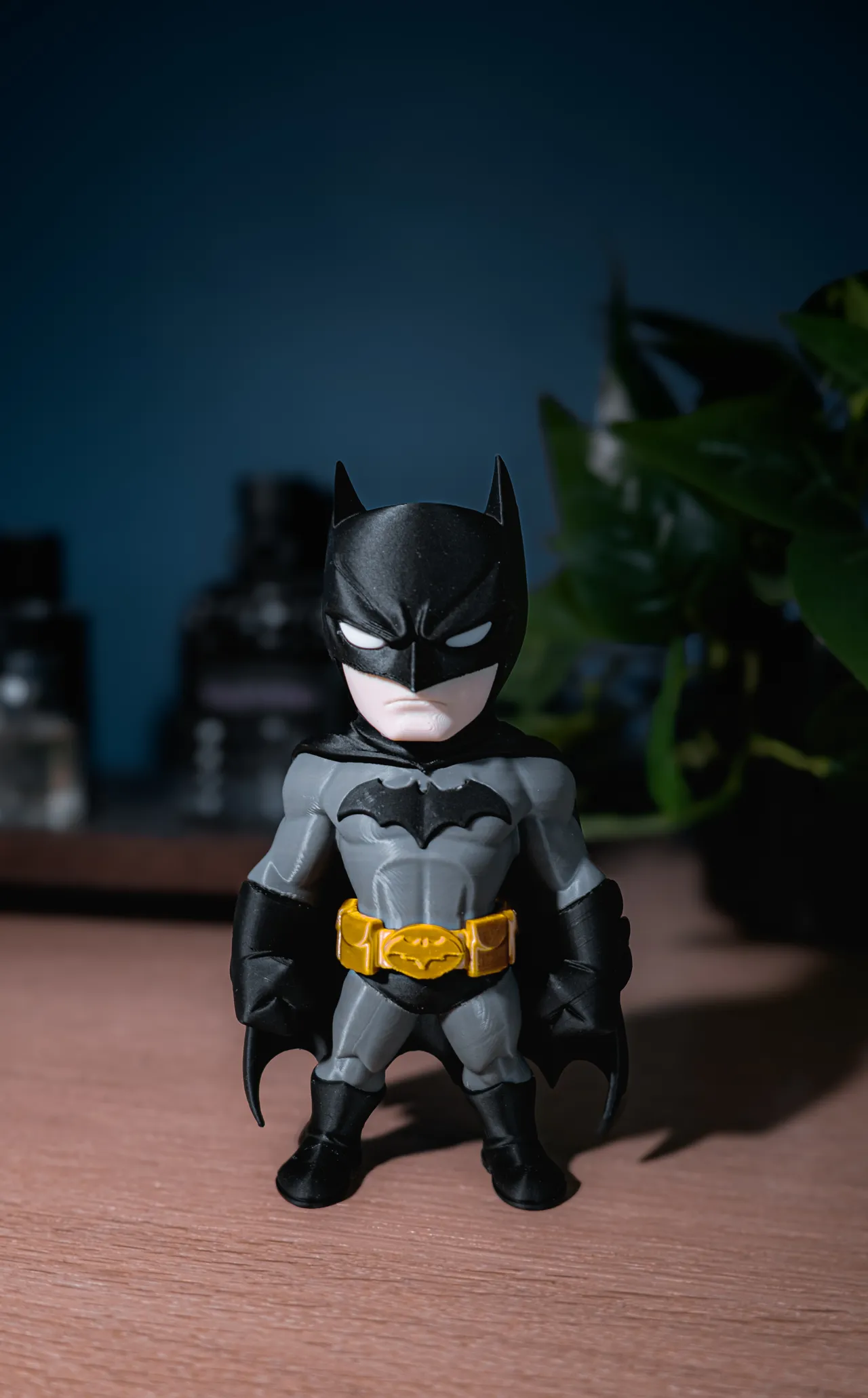 Batman view 3