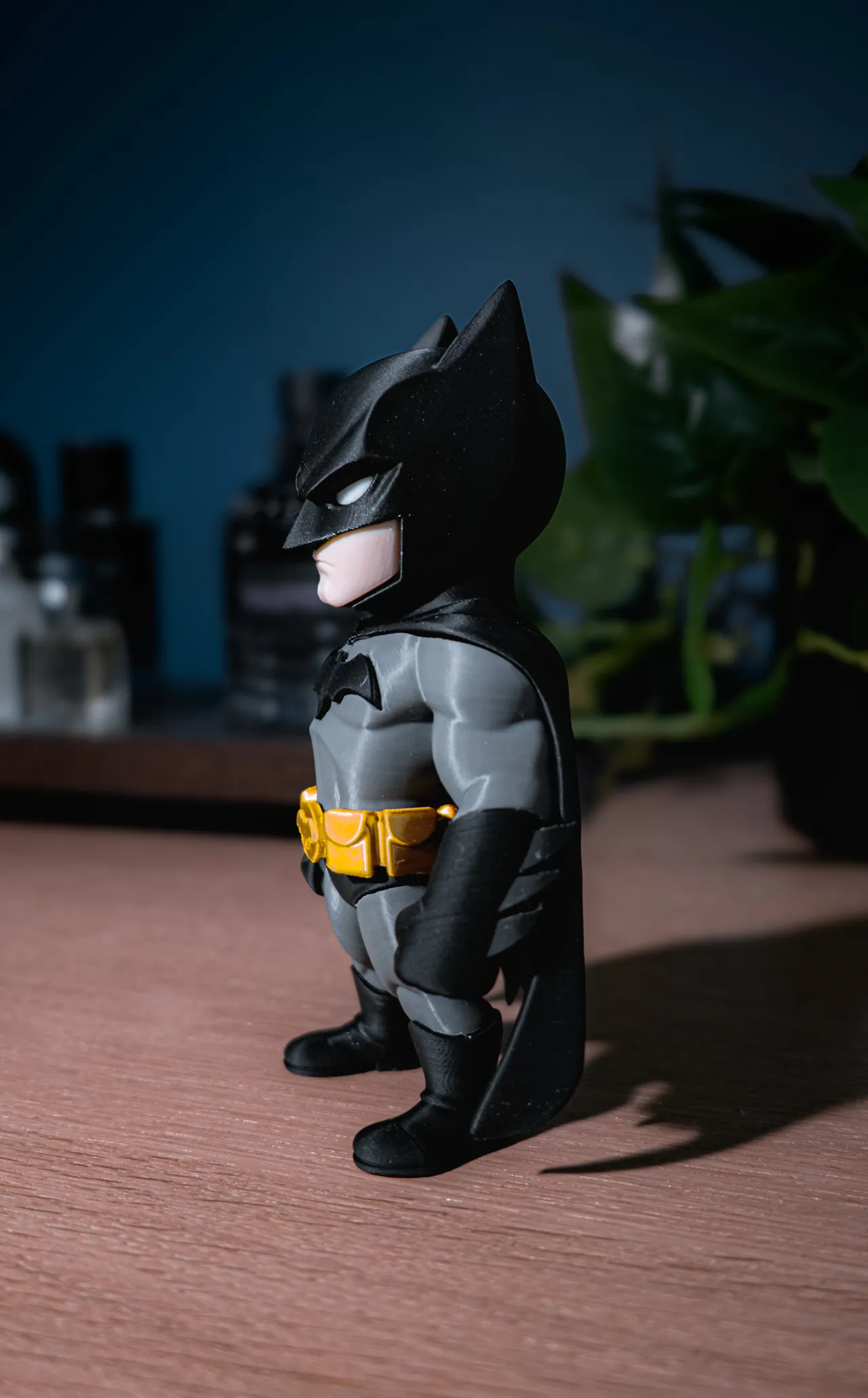Batman view 4