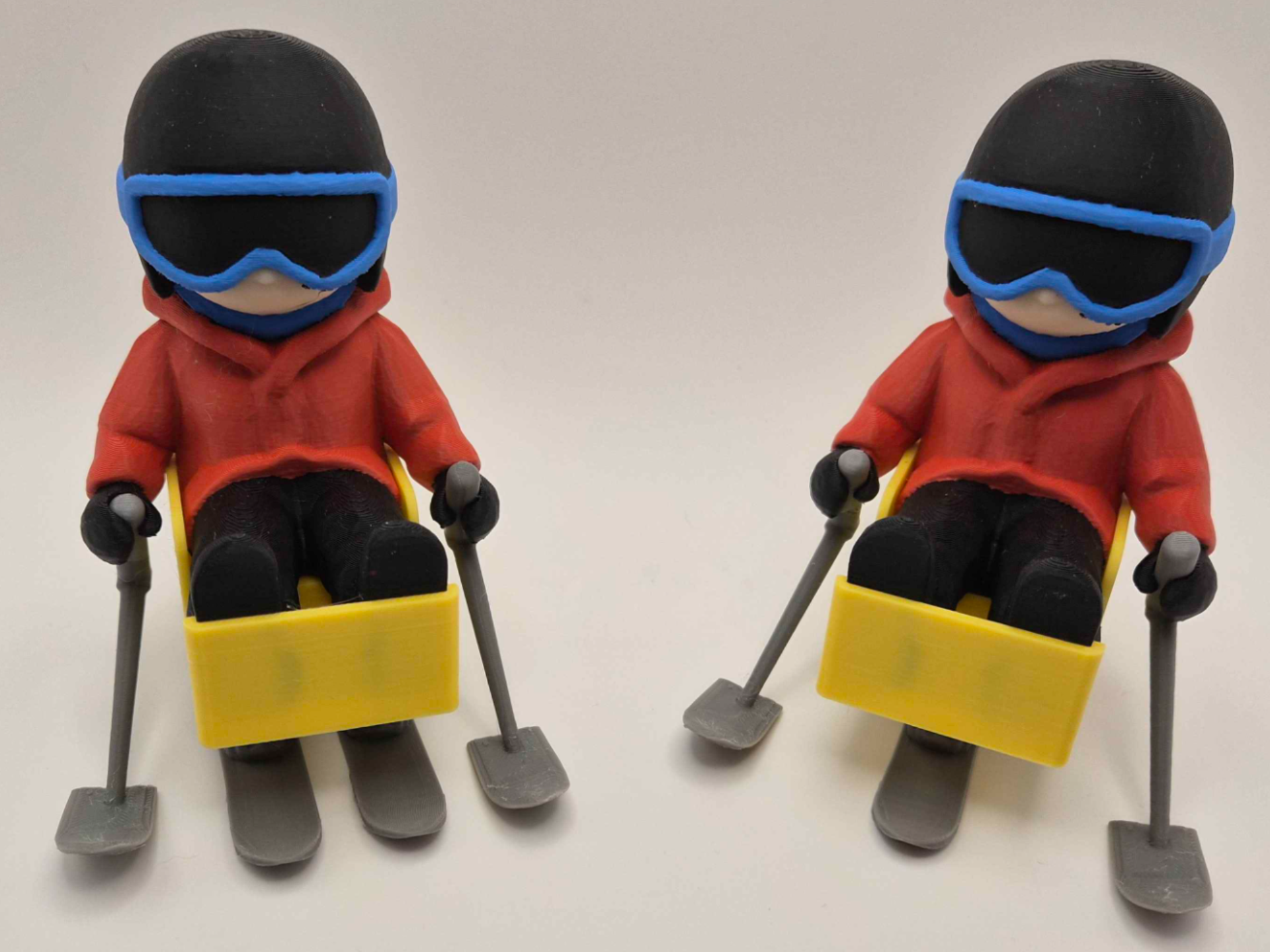Sit Skiers - mono and bi
