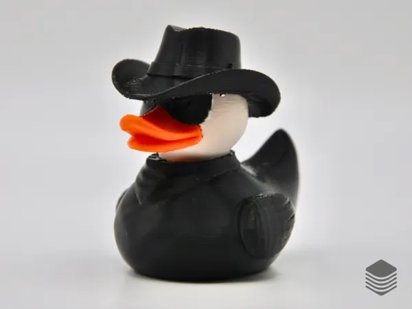 https://makerworld.bblmw.com/makerworld/model/US9b9e63e7aebec4/design/2025-03-12_a3cecc5ead374.png