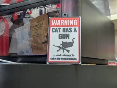 cat has gun and wont take medication (Keychain)