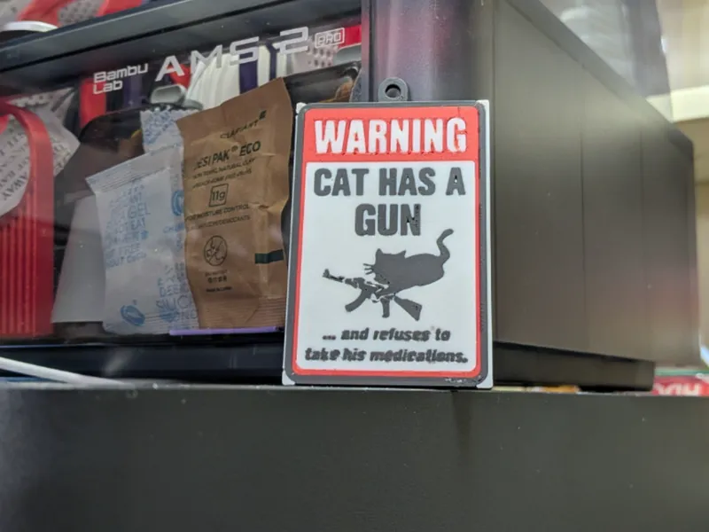 cat has gun and wont take medication  (Keychain)