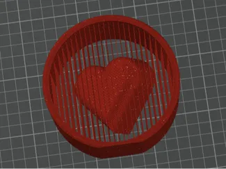 heart