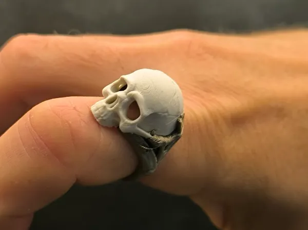 https://makerworld.bblmw.com/makerworld/model/US9bacb2c676255d/design/2025-10-01_d10ba76e2e0dc8.jpg