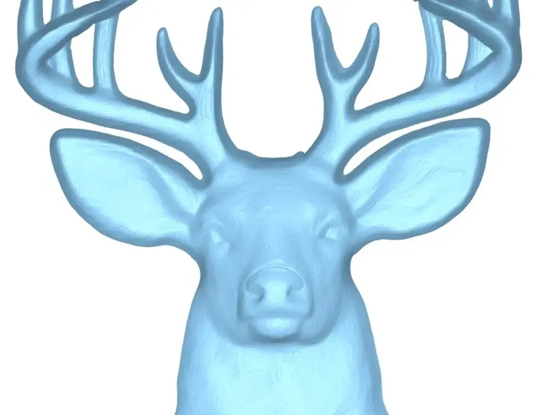 buck wall mount