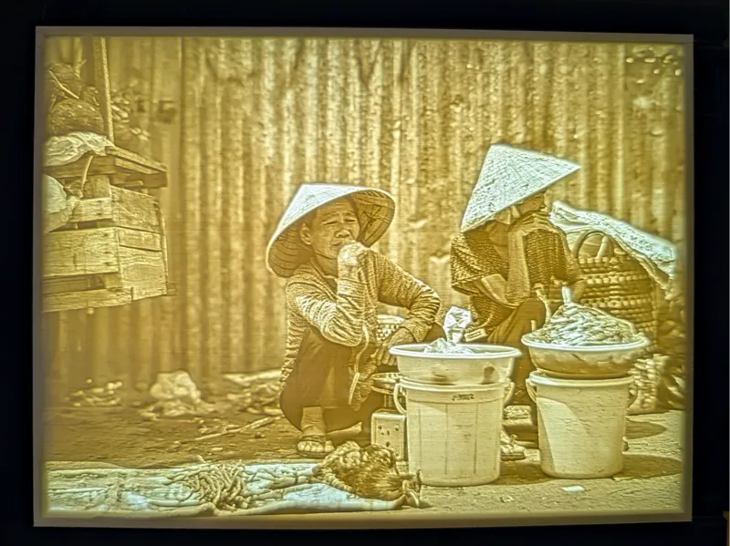 "Chick for Sale", Lithophane