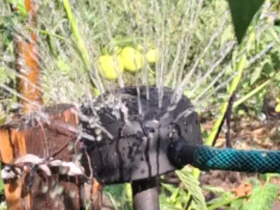 Sprinkler