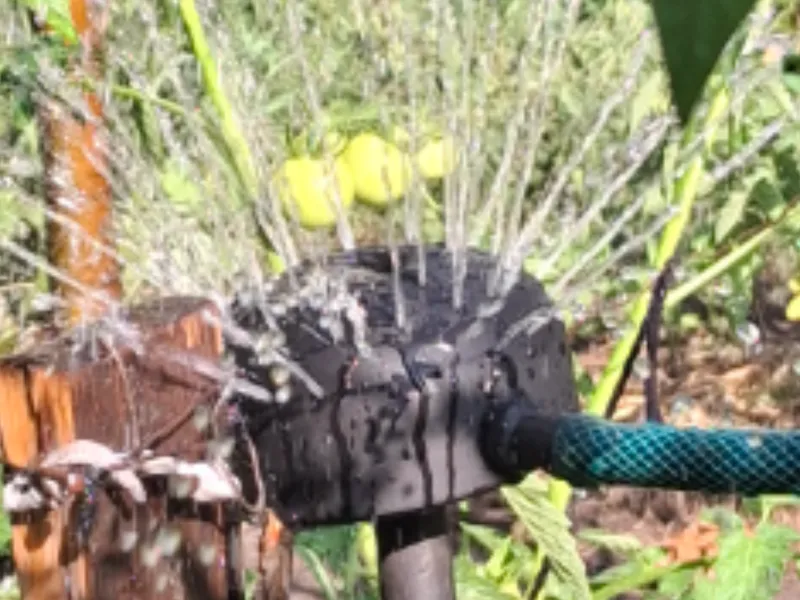 Sprinkler