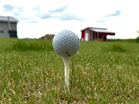 Simple Golf Tee