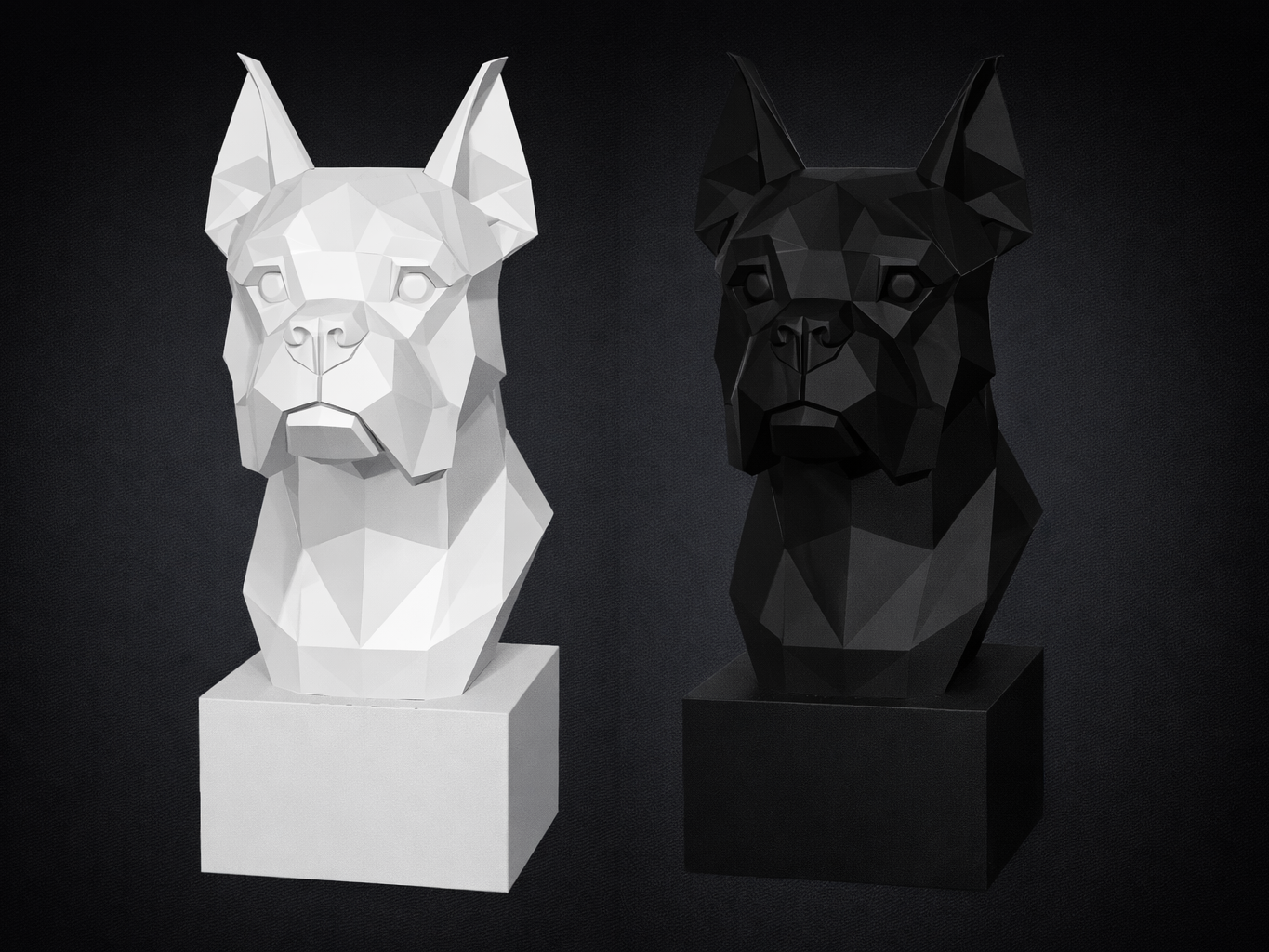 Geometric Bust - Boxer