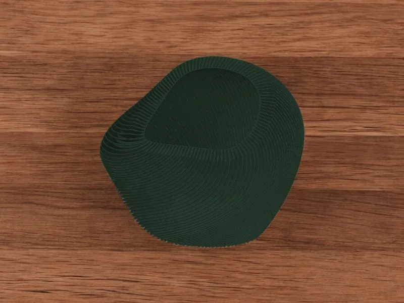 Abstract Shaped Vase 2
