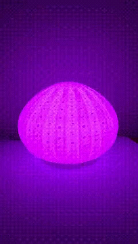 Coralia Mini – Minimal RGB Lamp