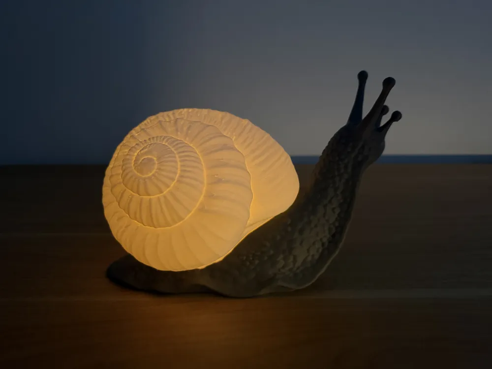 Jouet D'escargot Musical | Jouet Musical De Marche Rampant | Toyys