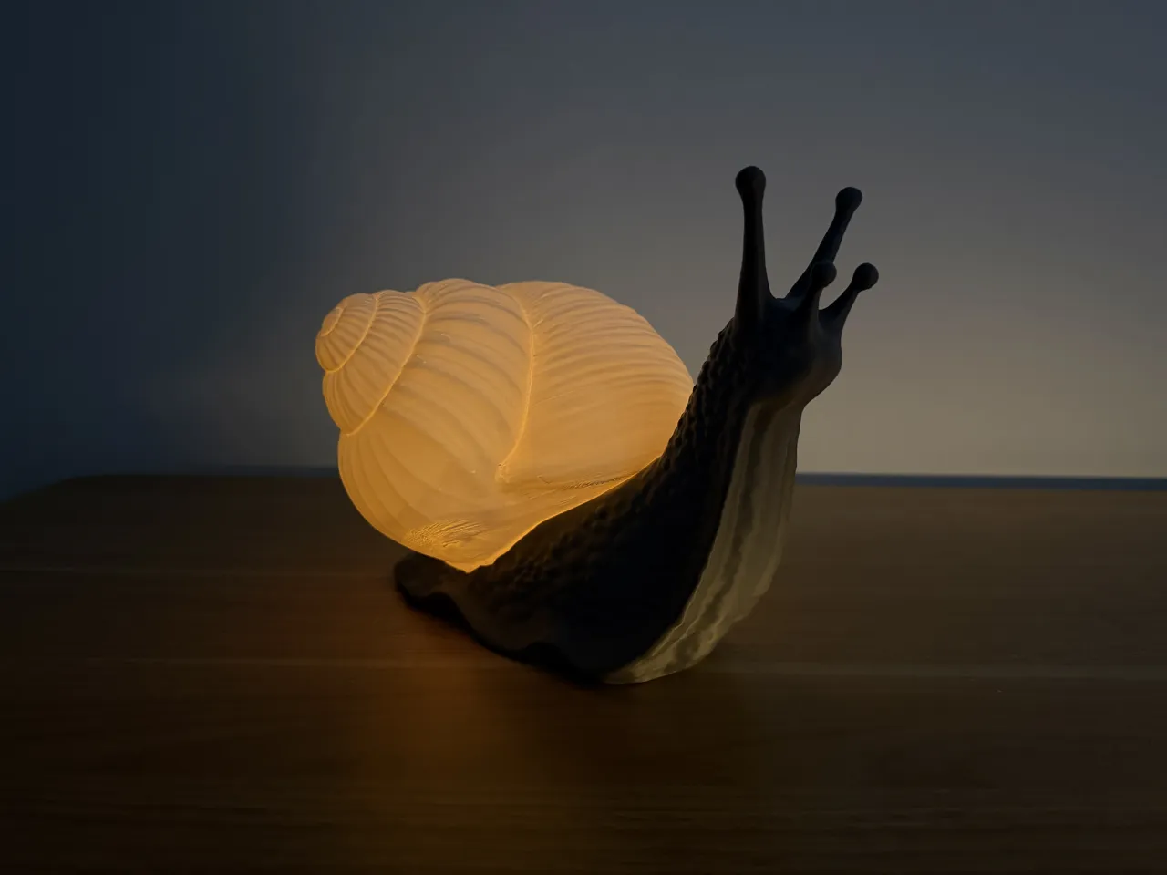 Snail Lamp view 3