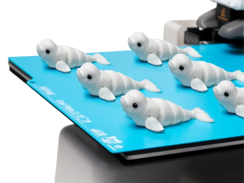 Cute Beluga Whale