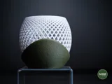 Минималистична саксия polygon за орхидеи