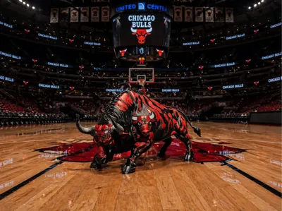 NBA - Chicago Bulls Sculpt 