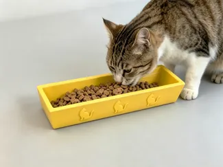 猫碗
