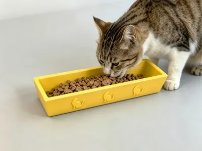 Cat Bowl