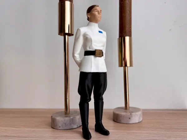 https://makerworld.bblmw.com/makerworld/model/US9be1bdb06dfc42/design/2025-05-31_d7e0c568a24208.jpeg