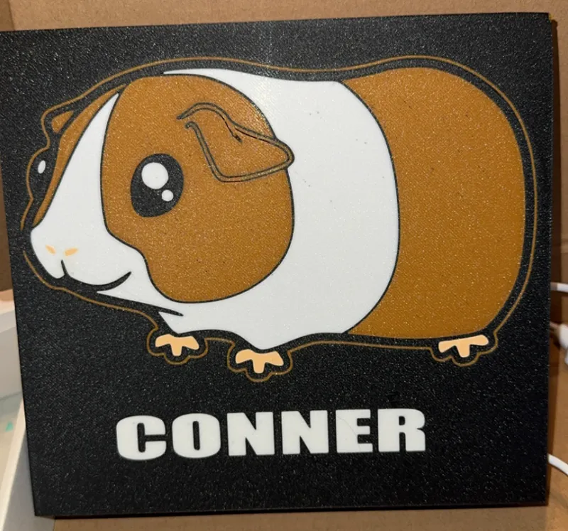 GUINEA PIG CUSTOMIZABLE LIGHTBOX