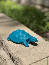 Sculpture de tortue — photo 2