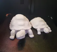 Sculpture de tortue — photo 5