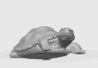Sculpture de tortue — photo 7