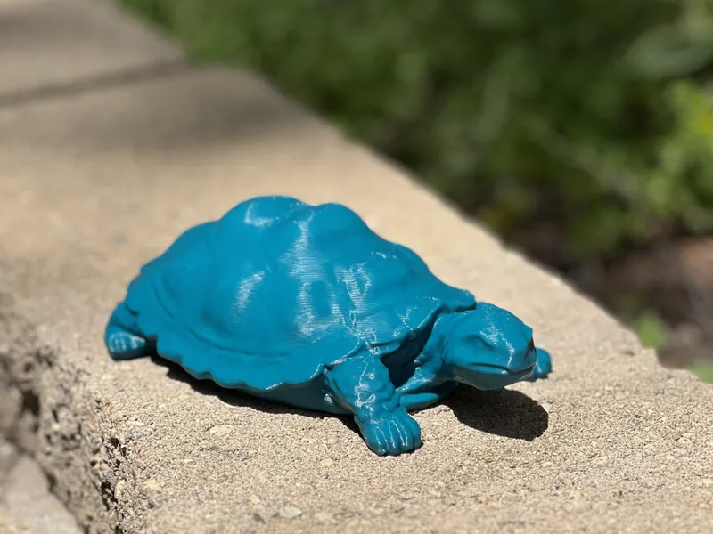 Turtle Sculpture