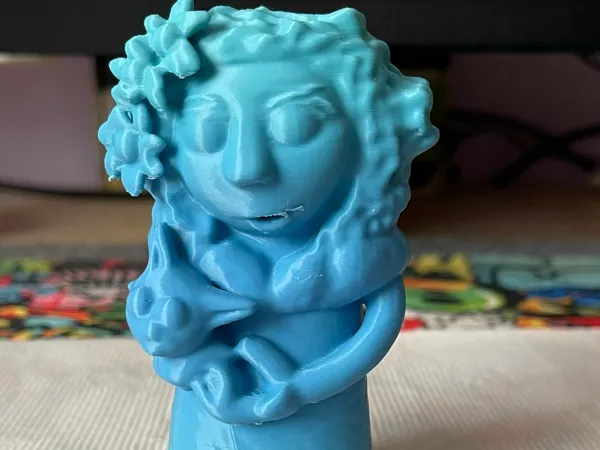 https://makerworld.bblmw.com/makerworld/model/US9bede71ee95f02/design/2025-01-25_edf488b378f82.jpeg