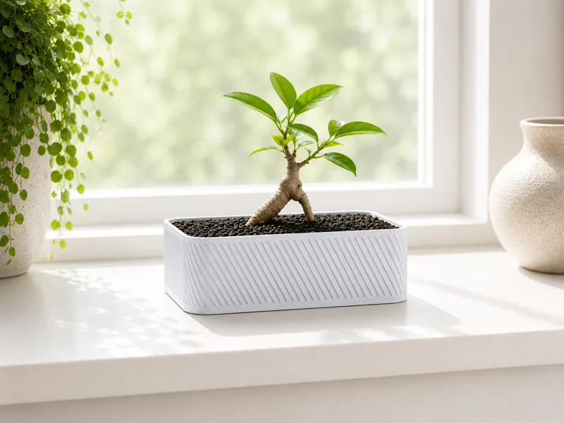 Modern Bonsai Planter Diagonal Texture